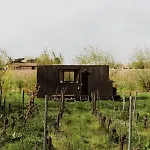Chateau Champion - Parcel Tiny House - Tiny House Au Coeur Des Vignes Centenaires A Saint-emilion Mae-0691 * 拉蒙塔涅