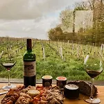 Chateau Champion - Parcel Tiny House - Tiny House Au Coeur Des Vignes Centenaires A Saint-emilion Mae-0691