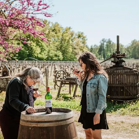 Jaktstuga Chateau Champion - Parcel Tiny House - Tiny House Au Coeur Des Vignes Centenaires A Saint-emilion Mae-0691 *