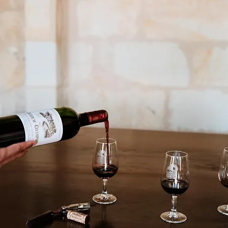 Chateau Champion - Parcel Tiny House - Tiny House Au Coeur Des Vignes Centenaires A Saint-emilion Mae-0691 بيت خشبي مونتانيو